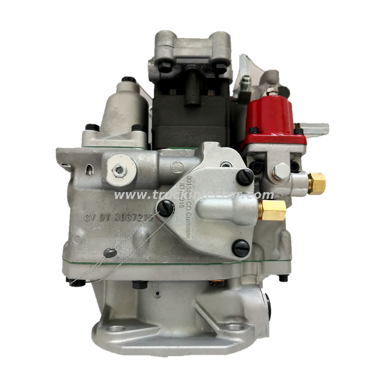Cummins Fuel Injection Pump 3655628 NT855G1(M) Disel Engine Parts